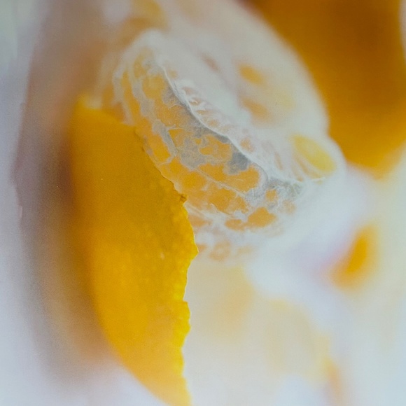 fresh Michelle Cranston Paperback Coffee Table Cookbook Book - Picture 15 of 16